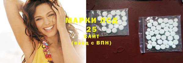 дурь Бородино