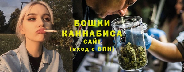 дурь Бородино