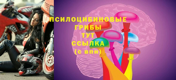MDMA Premium VHQ Бронницы