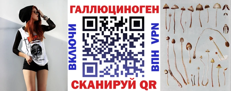 Галлюциногенные грибы прущие грибы  где найти наркотики  hydra вход  Буйнакск 