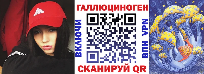 Галлюциногенные грибы Psilocybine cubensis Буйнакск