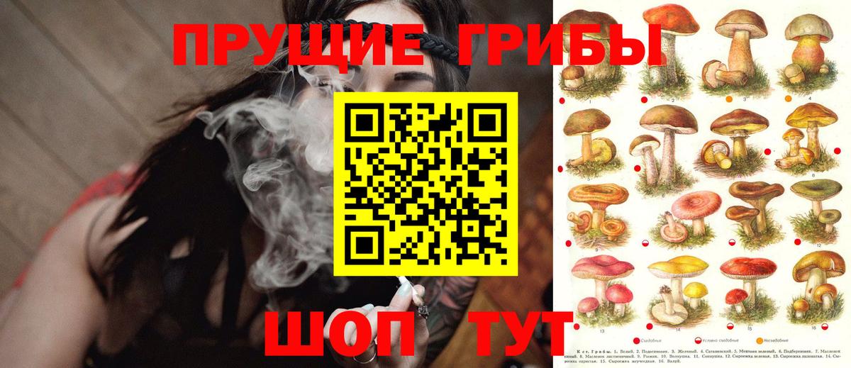 Буйнакск  Галлюциногенные грибы мицелий  Галлюциногенные грибы ЛСД  хочу   Вход с VPN 