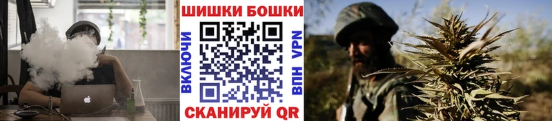 Шишки марихуана сатива  Буйнакск 